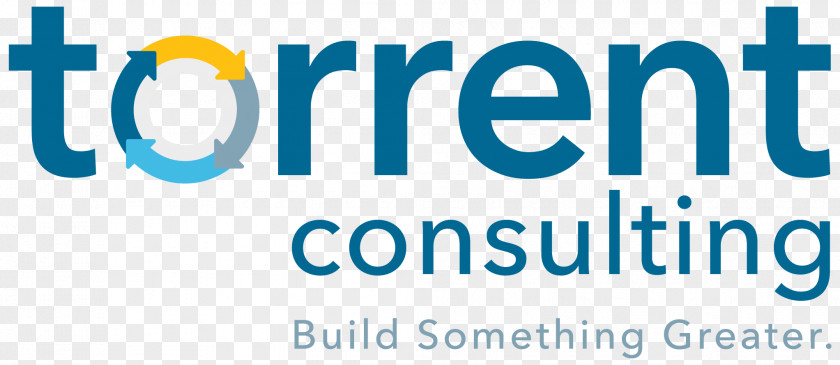 Non Profit Management Consulting Consultant Business TORRENT CONSULTING PNG