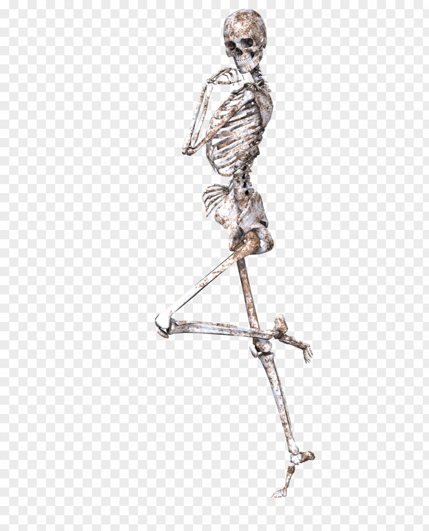 Skeleton On One Leg PNG on Leg, human skeleton illustration clipart PNG