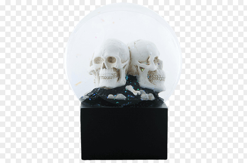 Water Party Skull Human Skeleton Millimeter PNG