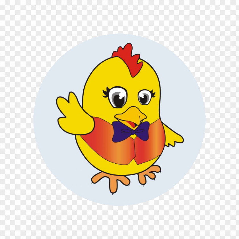 Chick Chicken Cartoon Animation PNG