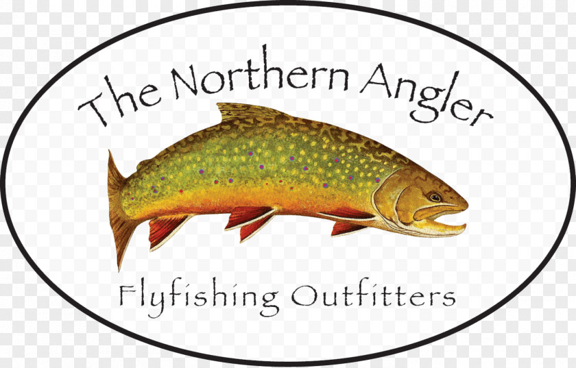 Fishing Northern Angler Fly Angling Spey Casting PNG