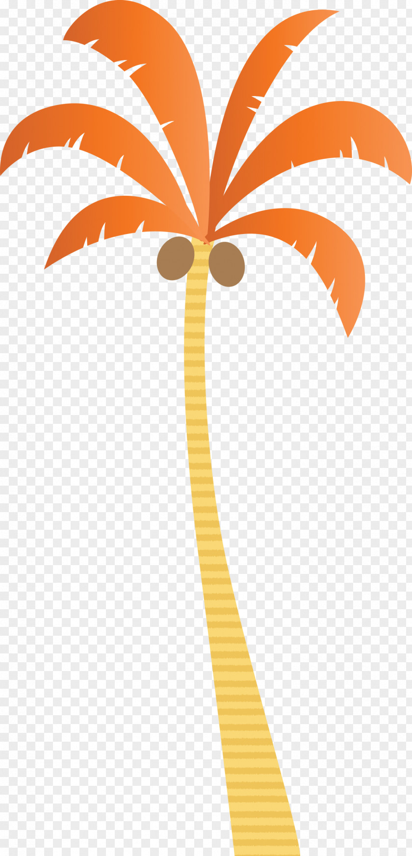 Palm Trees PNG