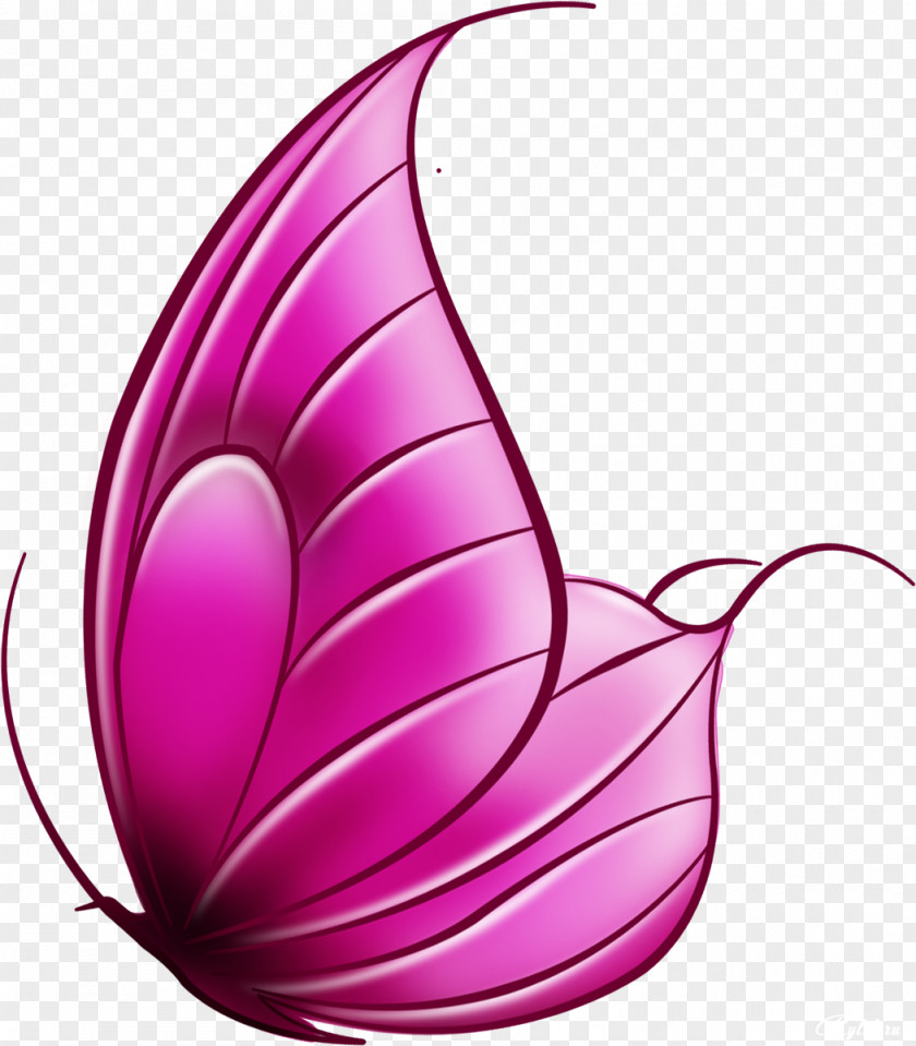 Pink Butterfly Insect Pollinator Clip Art PNG