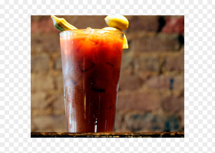 Bloody Mary Irish Bred Pub Restaurant Sea Breeze Cocktail Garnish PNG