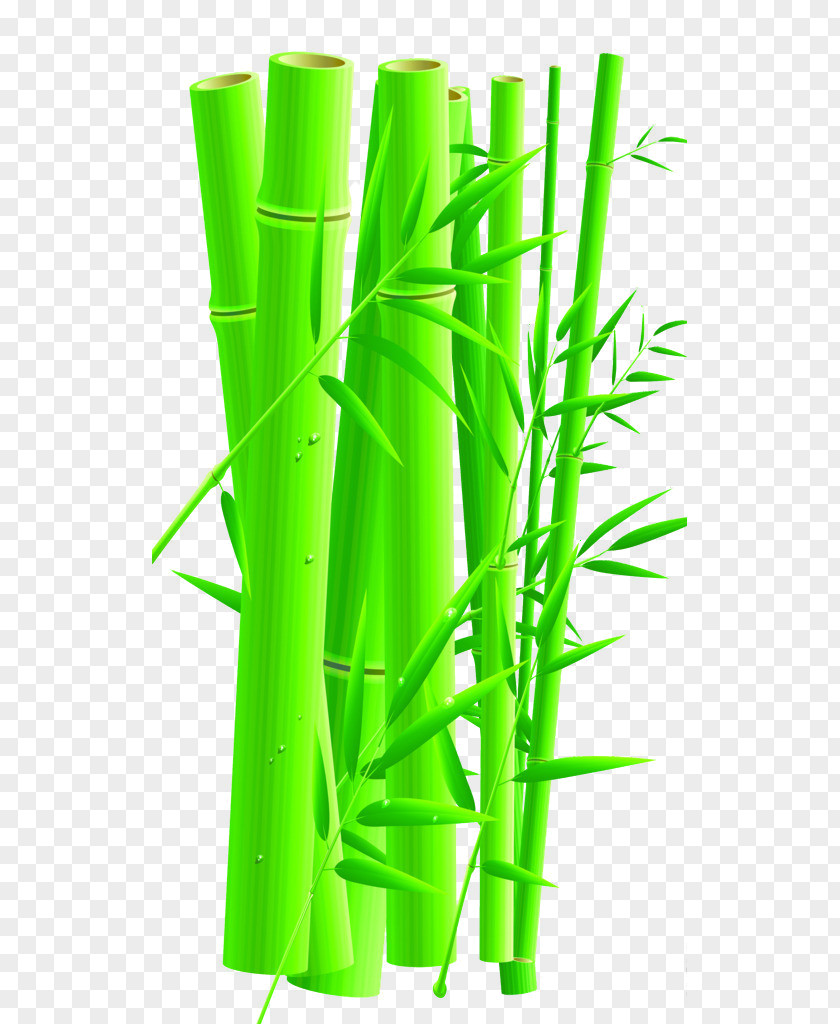 Hand-painted Bamboo Pictures Cartoon PNG