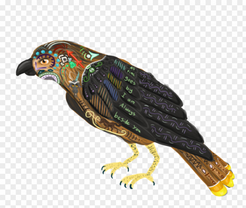 Parrot Beak Bird Of Prey Feather PNG