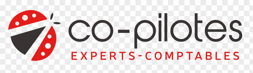 Pilot CO-PILOTES Experts-Comptables Logo Brand Computer Software PNG