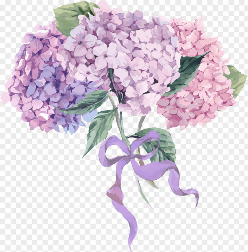 Boquet Button Vector Graphics Stock Illustration Hydrangea PNG