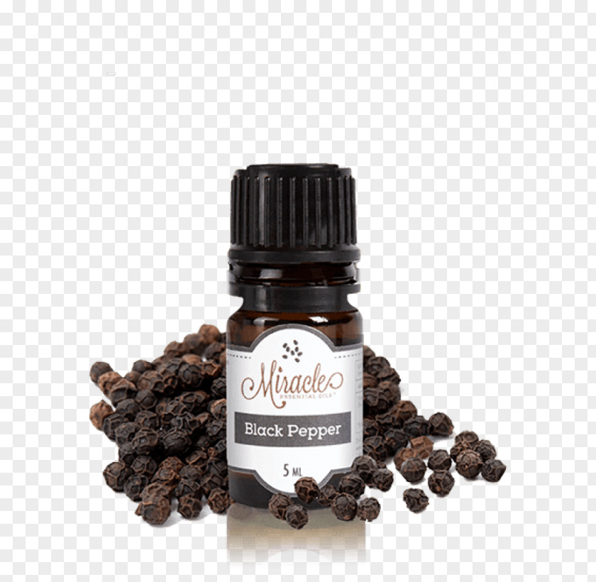 Essential Oil Piper Cubeba Seasoning Spice Basil PNG