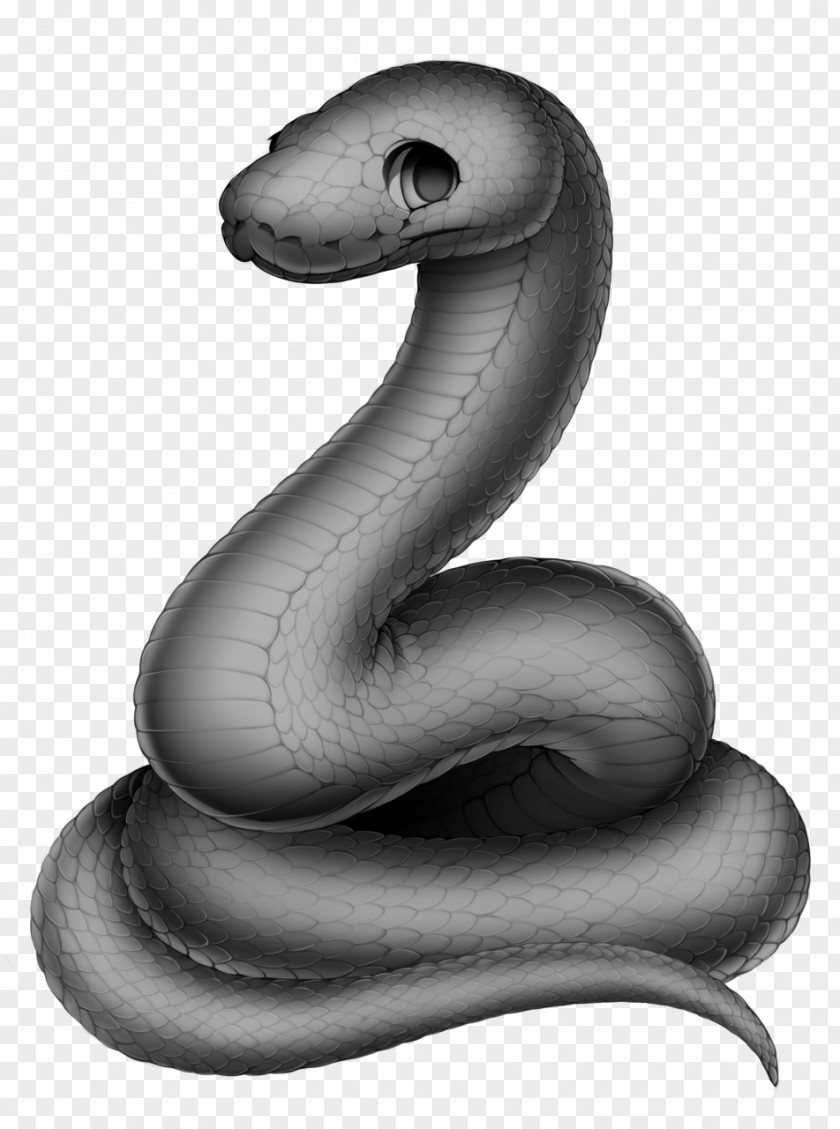 Snake Cape File Serpent Cobra PNG