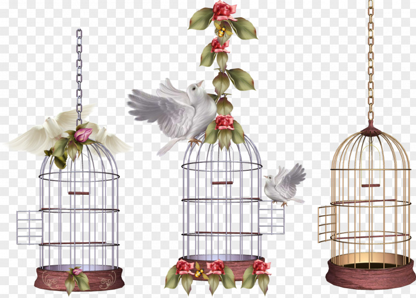 Bird Cage Lovebird Parrot Birdcage PNG