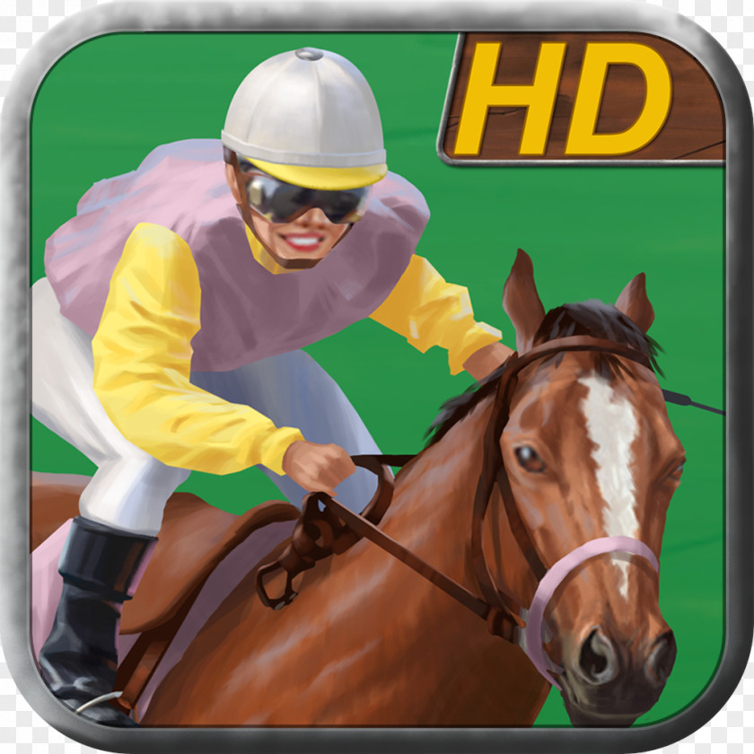 Horse Racing Mane Stallion Halter PNG