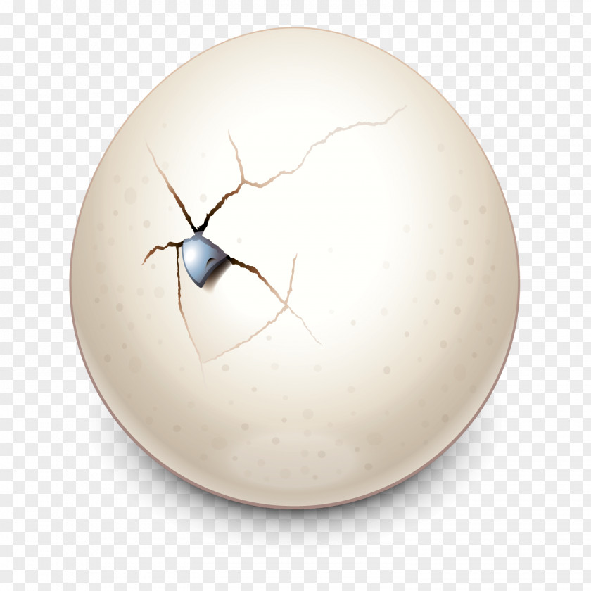 Insect Product Design Sphere PNG