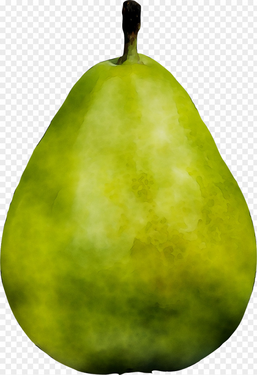 Pear Fahrenheit PNG