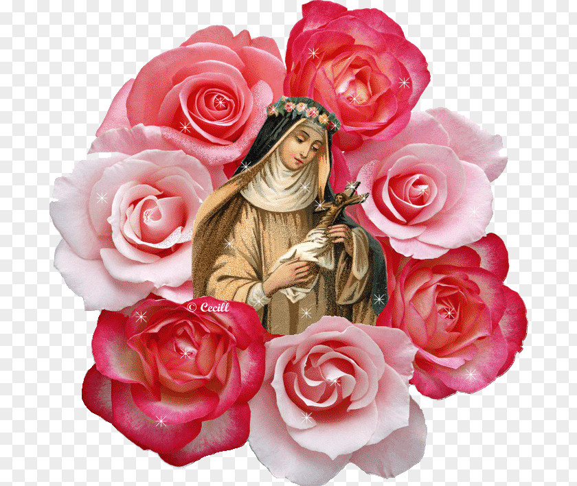 Rose Calendar Of Saints Santa Rosa Catholicism PNG