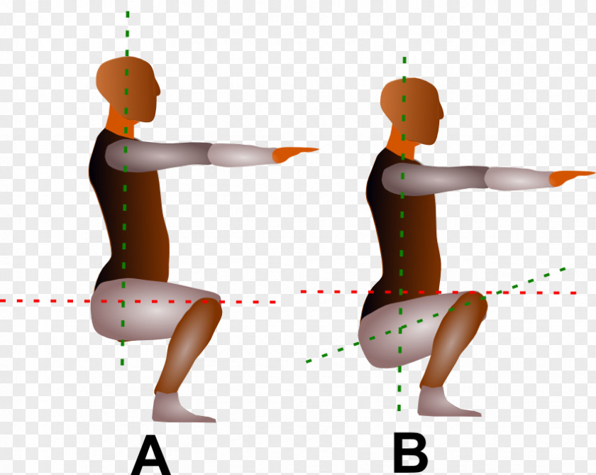 Shoulder Performing Arts Physical Fitness Line Thigh PNG arts fitness Thigh, line clipart PNG