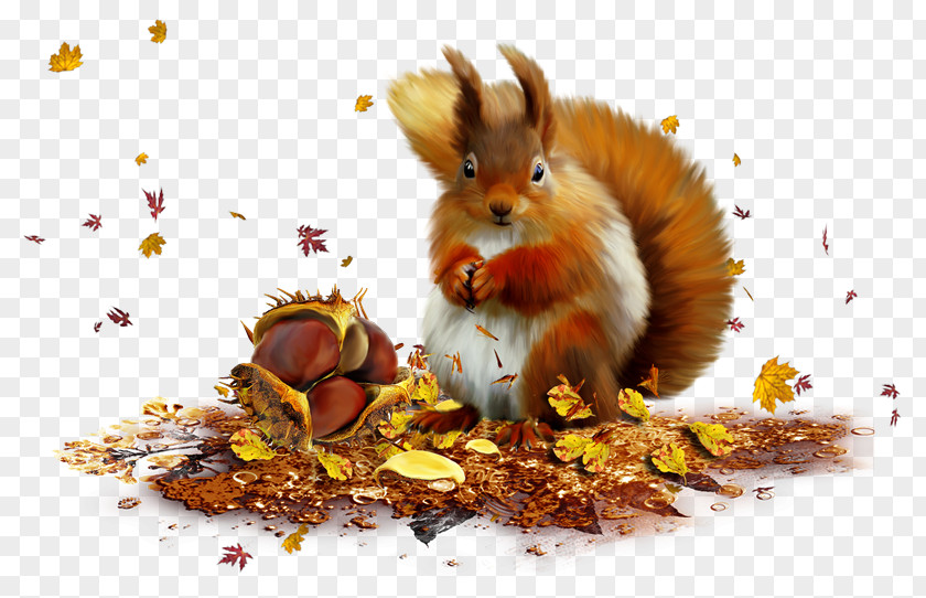 Sky Squirrel Clip Art PNG