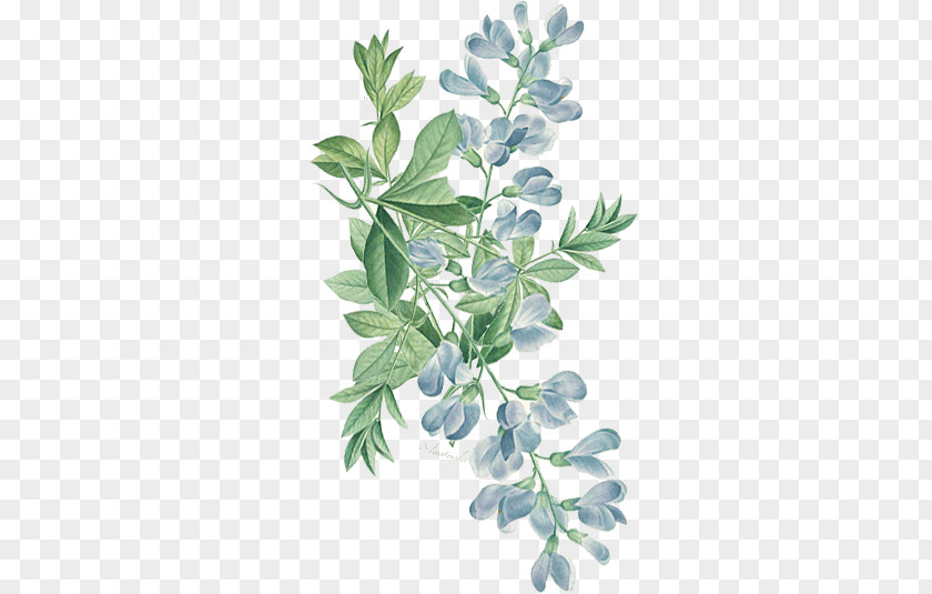 Wind Blue Flowers Illustration PNG blue flowers illustration clipart PNG