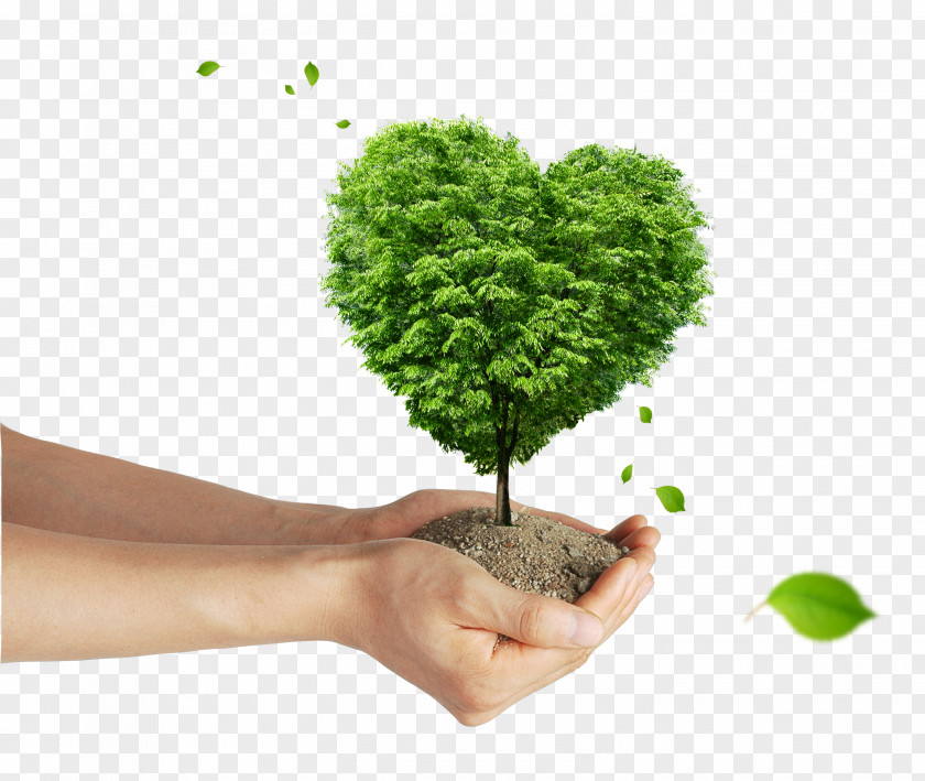 Beautiful Green Hands Giving Tree Poster Wallpaper PNG