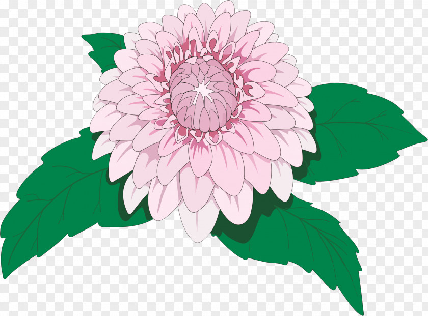 Flower Illustration Drawing Dahlia Imperialis Clip Art PNG