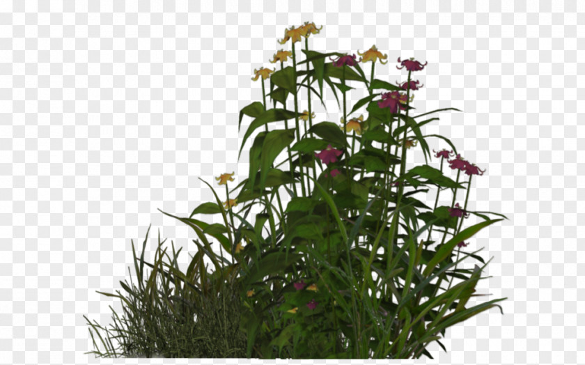 Flower Vine Green Wall Plant Garden Roof PNG