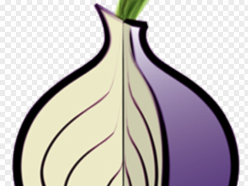 Tors The Tor Project, Inc .onion Onion Routing Web Browser PNG