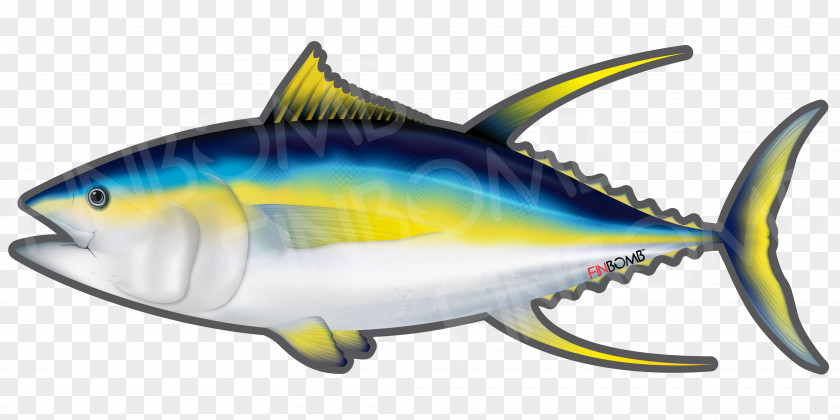 Tuna Thunnus Fish Yellowfin Atlantic Bluefin Decal PNG