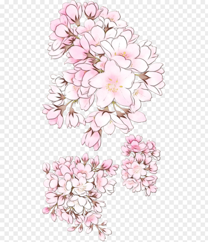 Blossom Floral Design PNG