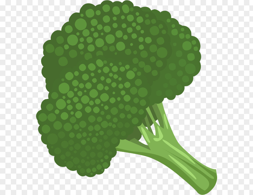 Broccoli Cliparts Cauliflower Vegetable Clip Art PNG