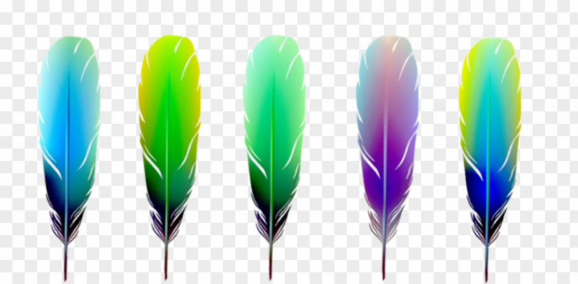 Color Feather Effect Element Euclidean Vector Material PNG