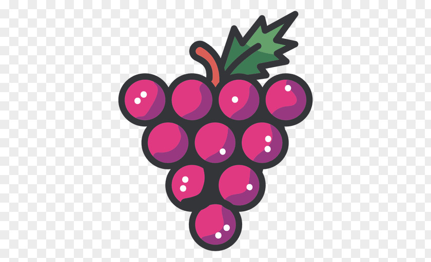 Grape Vector PNG