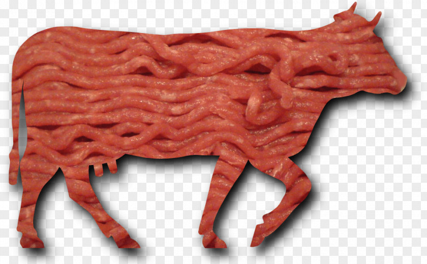 Hot Dog Cattle University Of California, San Diego Red Meat Lamb And Mutton PNG