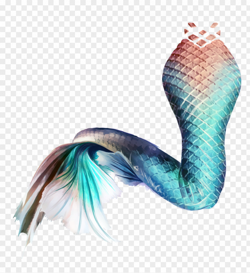 Mermaid Tail Siren Image Mug PNG