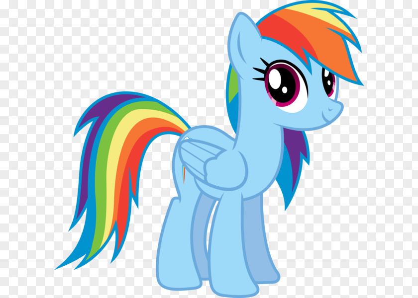 My Little Pony Rainbow Dash Twilight Sparkle Rarity Pinkie Pie PNG