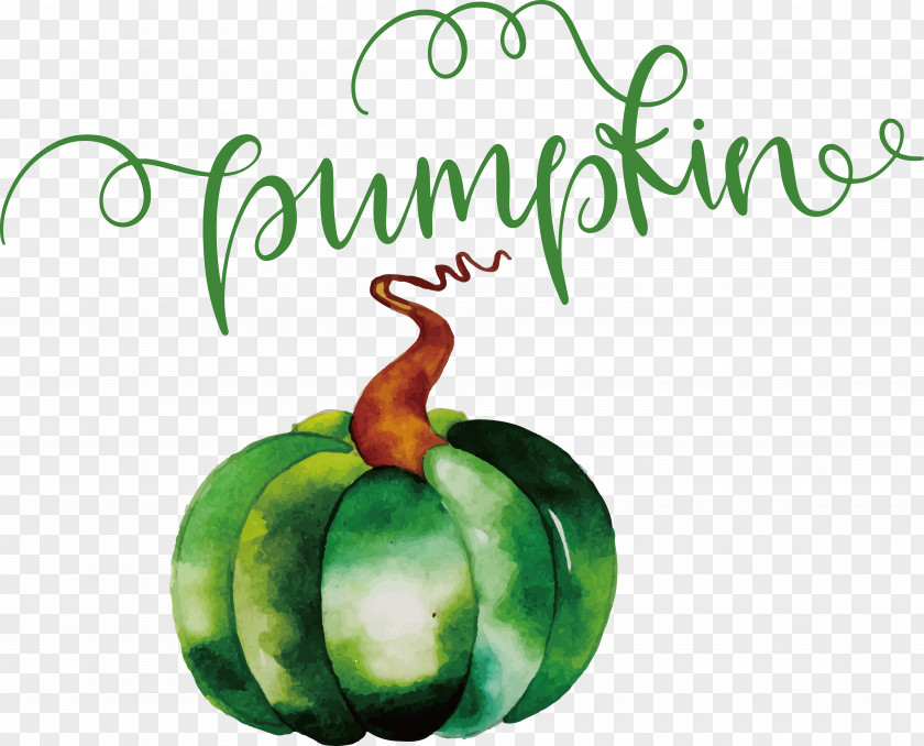 Pumpkin PNG