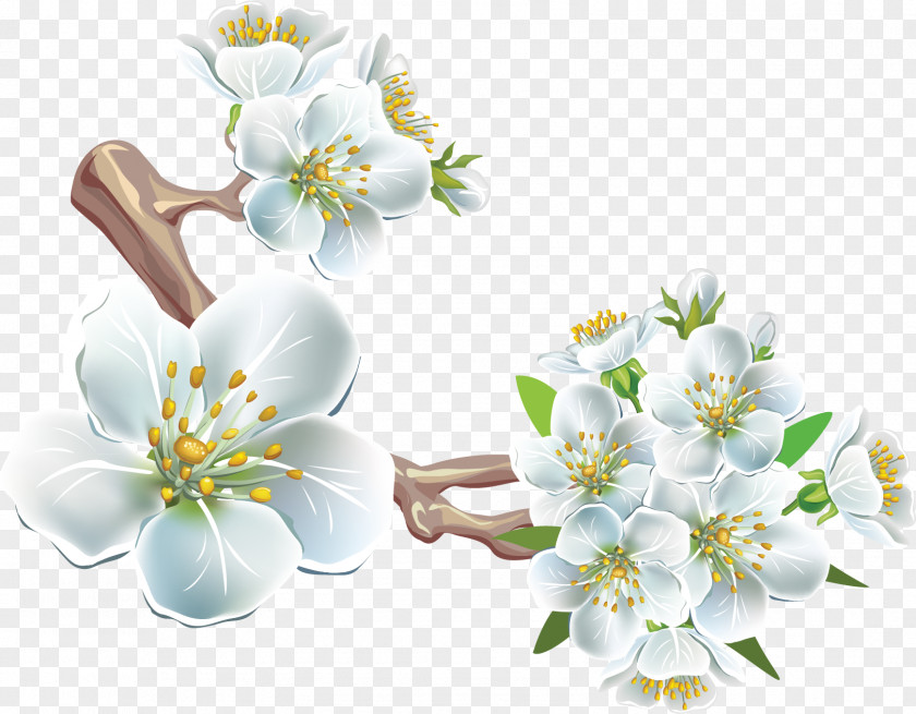 Spring Clip Art PNG