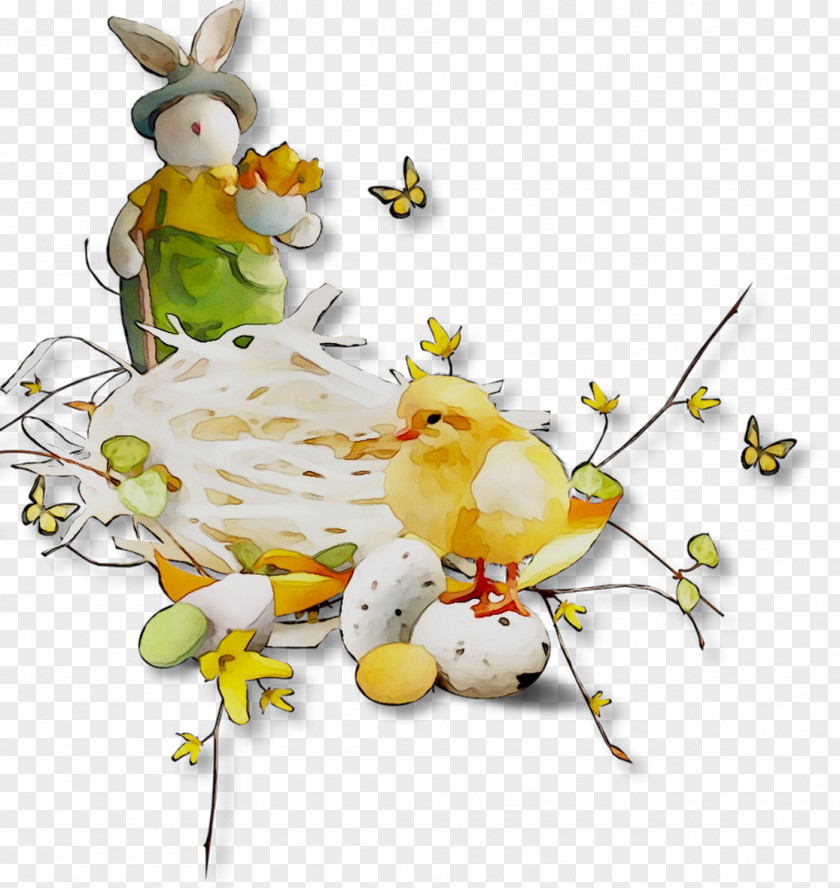 Bird Yellow Easter PNG