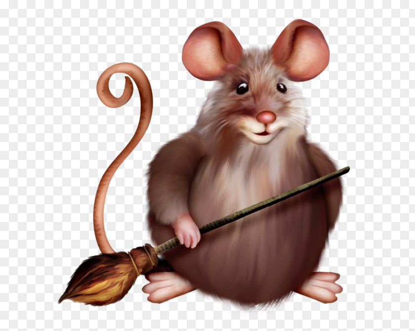 Computer Mouse Rat Rodent Clip Art PNG