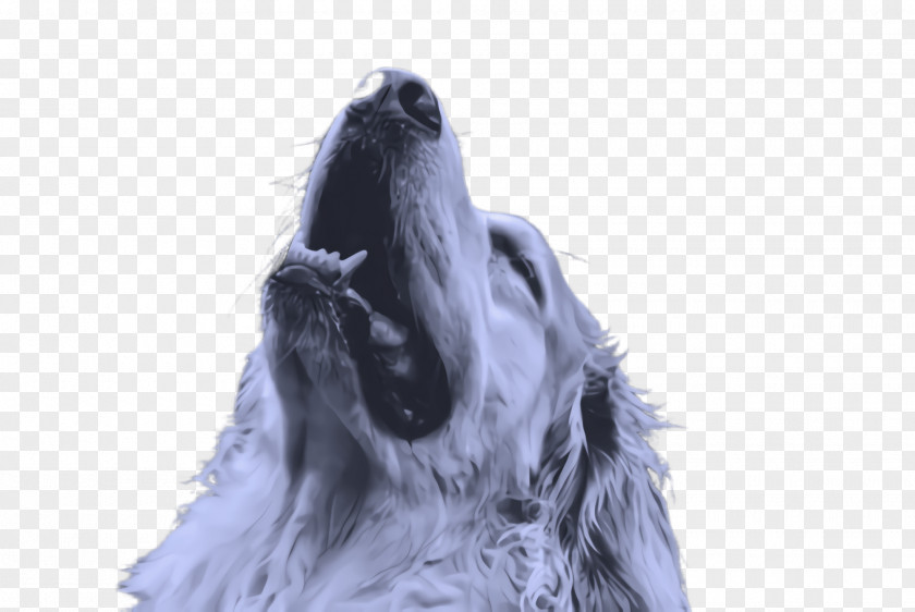 Drawing Dog Breed Sketch PNG