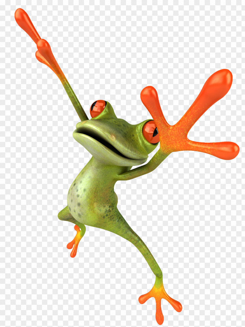 Frog Stock Photography Royalty-free PNG