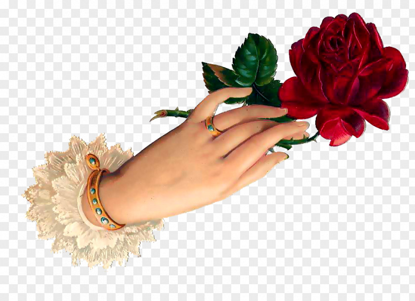 Good Evening Garden Roses Flower Gift PNG