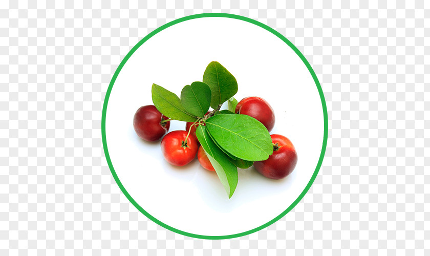 Acerola Barbados Cherry Cherries Food Fruit Photography PNG