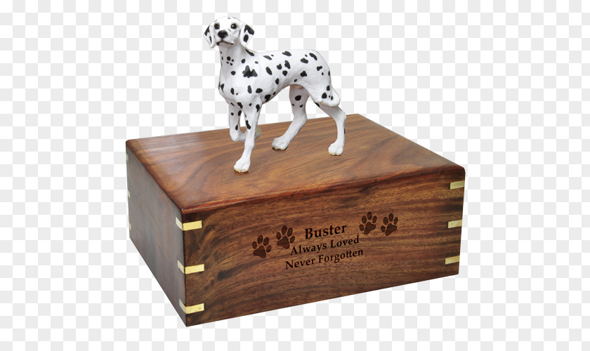 Bestattungsurne Cremation Dalmatian Dog Boston Terrier PNG