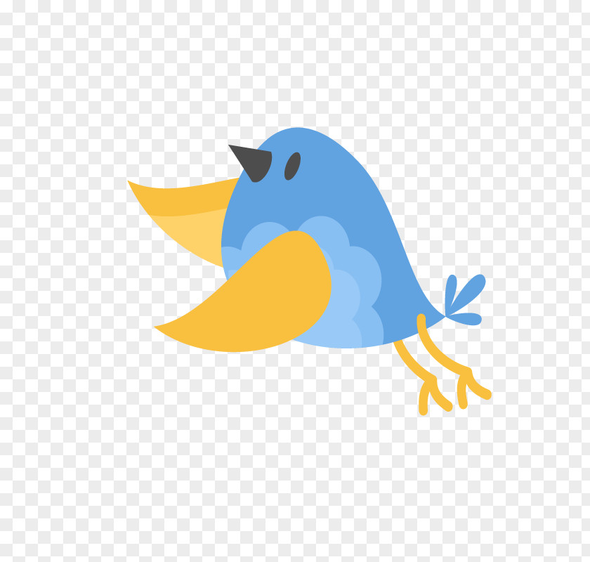 Bird Cartoon Animation Image PNG