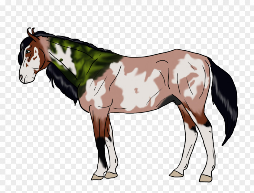 Milky Way Foal Stallion Mustang Mare Colt PNG