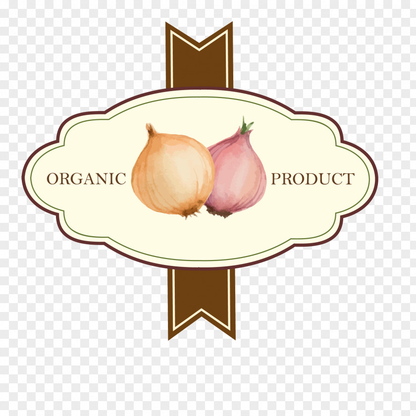 Onion Tag Vector Shallot Illustration PNG