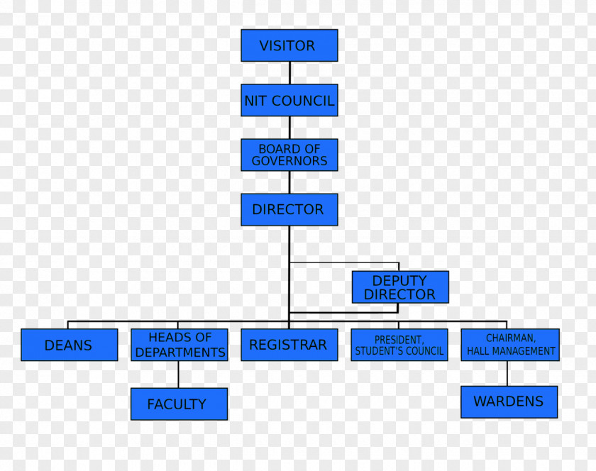 Organization Chart Organizational Structure Indian Institutes Of Technology Management PNG