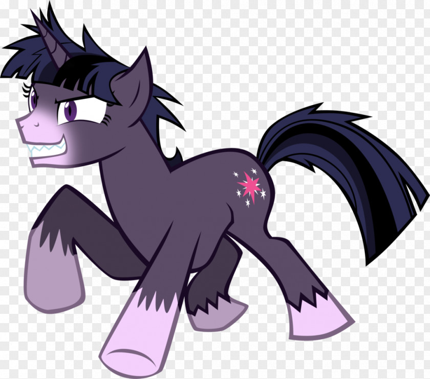 Shine Vector My Little Pony Twilight Sparkle Rainbow Dash PNG