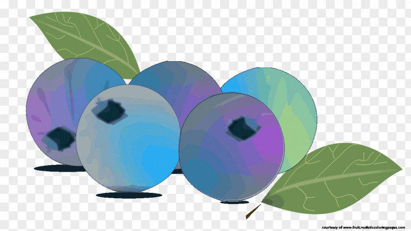 Blueberries Animation Tangled Clip Art PNG