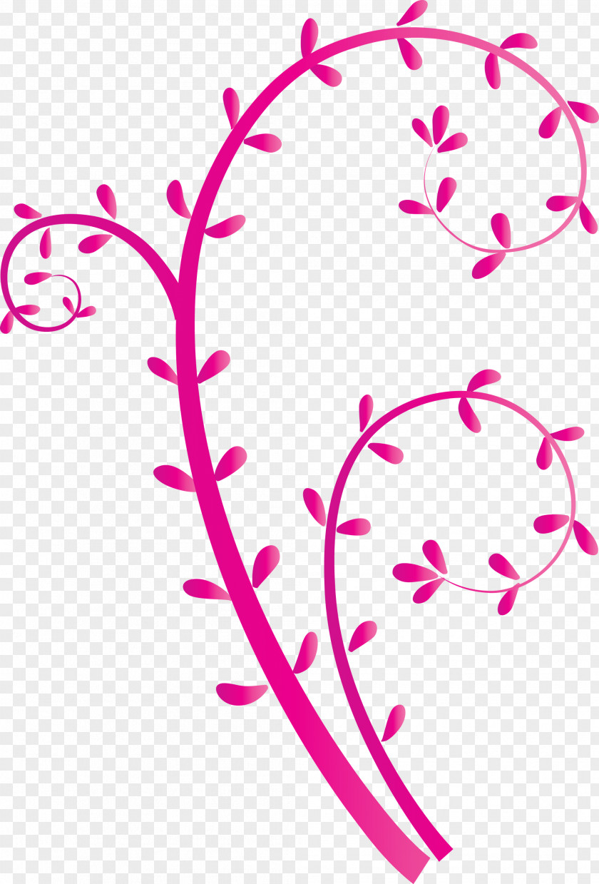 Flower Frame Floral PNG